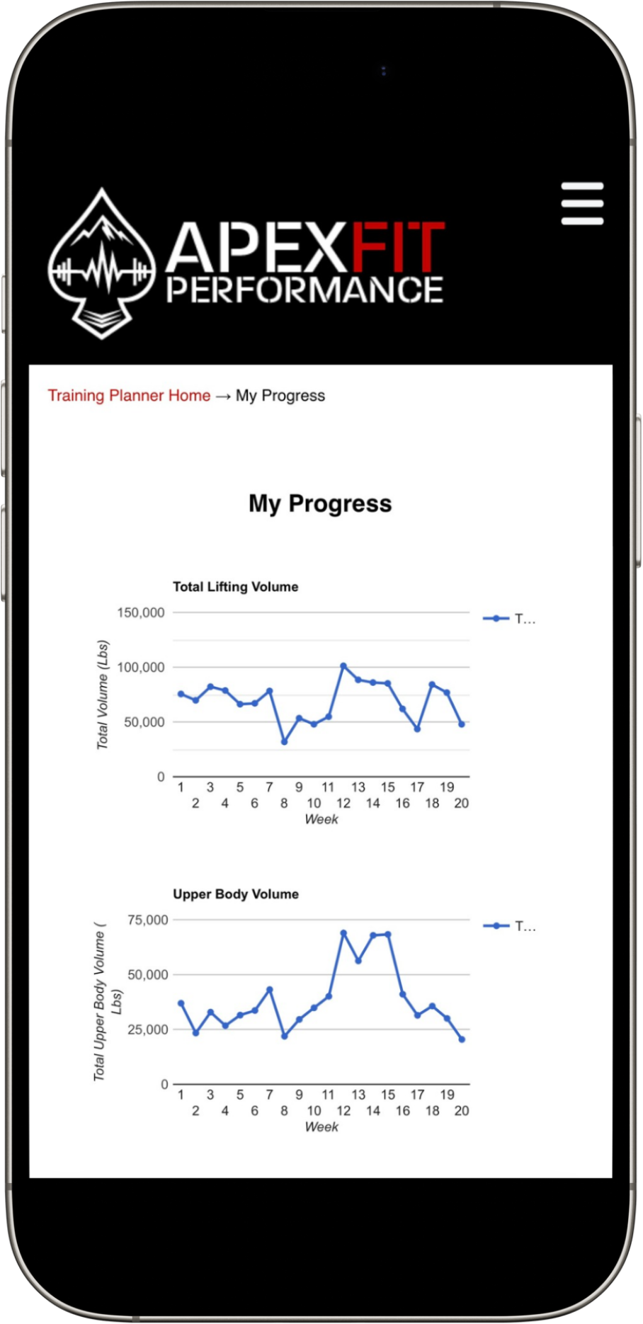 ApexFit Training Planner